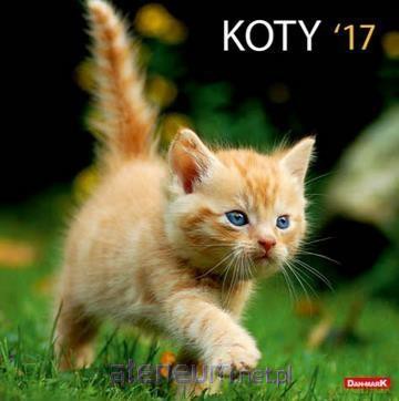 Kalendarz 2017 13PL 300x300 Koty [KALENDARZ]