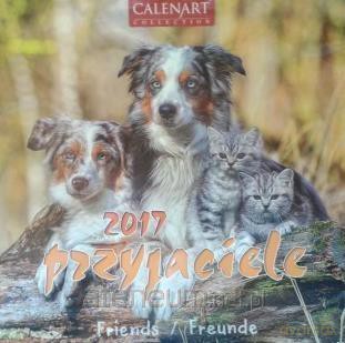 Kalendarz 2017 7PL 325x325 Przyjaciele [KALENDARZ]