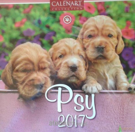 Kalendarz 2017 7PL 325x325 Psy [KALENDARZ]