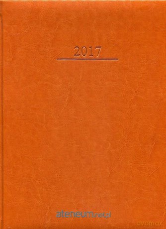 Kalendarz 2017 A4/336 New York Brązowy [KALENDARZ]