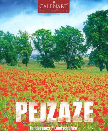 Kalendarz 2017 B4 7PL 23x31 Pejzaże [KALENDARZ]
