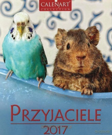 Kalendarz 2017 B4 7PL 23x31 Przyjaciele [KALENDARZ]