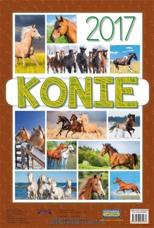 Kalendarz 2017 Konie [KALENDARZ]