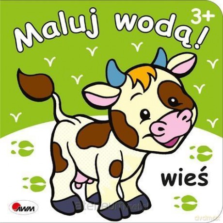 Maluj wodą! Wieś [KSIĄŻKA]