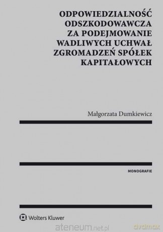 Odpowiedzialność odszkodowawcza za podejmowanie [KSIĄŻKA]