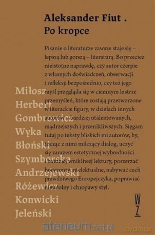 Po kropce - Aleksander Fiut [KSIĄŻKA]