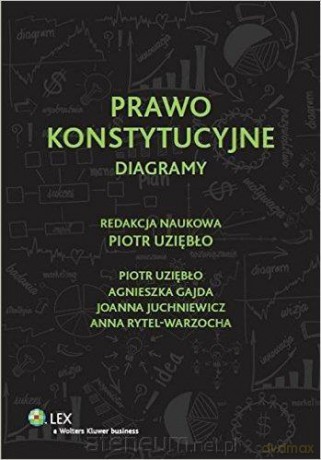 Prawo konstytucyjne. Diagramy [KSIĄŻKA]
