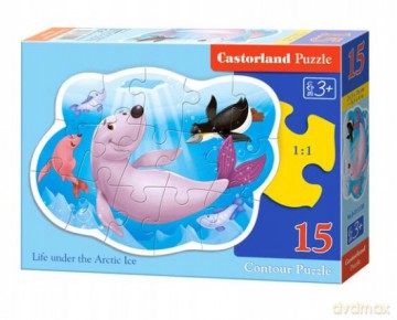 Puzzle konturowe 15 - Pod arktycznym lodem [PUZZLE]
