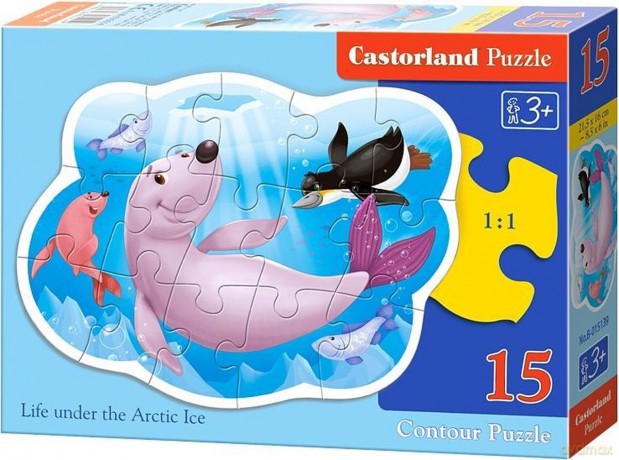 Puzzle konturowe 15 - Pod arktycznym lodem [PUZZLE]