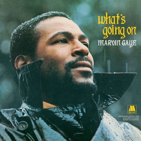Marvin Gaye: What's Going On [4xWinyl]