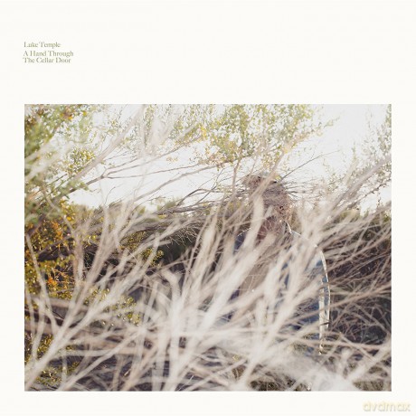 Luke Temple: A Hand Through The Cellar Door [Winyl]