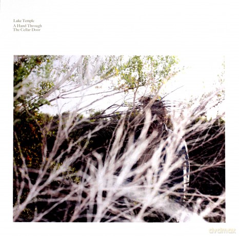 Luke Temple: A Hand Through The Cellar Door [Winyl]