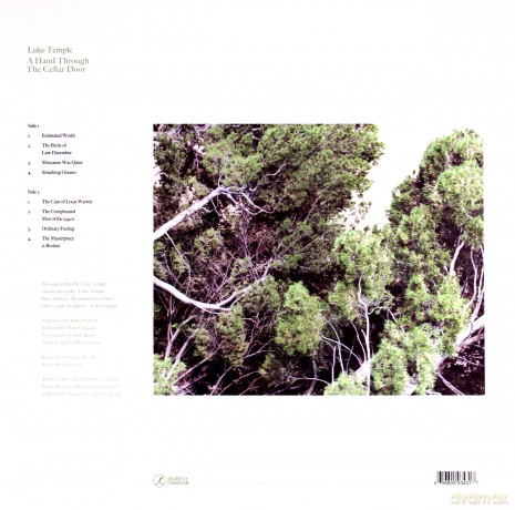 Luke Temple: A Hand Through The Cellar Door [Winyl]