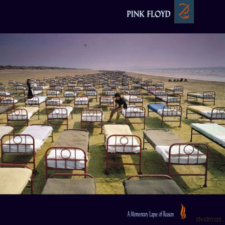 Pink Floyd: A Momentary Lapse Of Reason [Winyl]