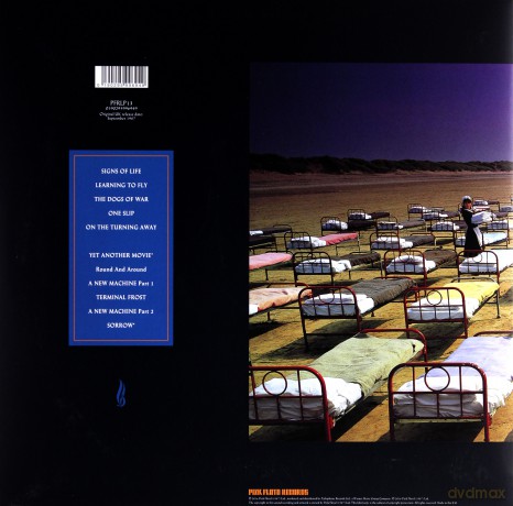 Pink Floyd: A Momentary Lapse Of Reason [Winyl]