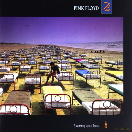 Pink Floyd: A Momentary Lapse Of Reason [Winyl]
