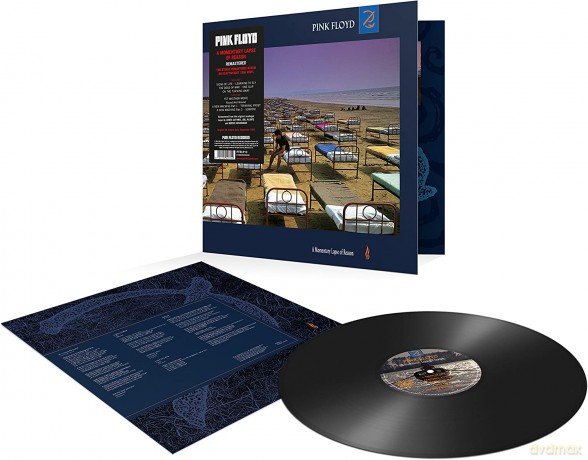 Pink Floyd: A Momentary Lapse Of Reason [Winyl]
