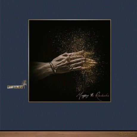 Courteeners: Mapping The Rendezvous [Winyl]