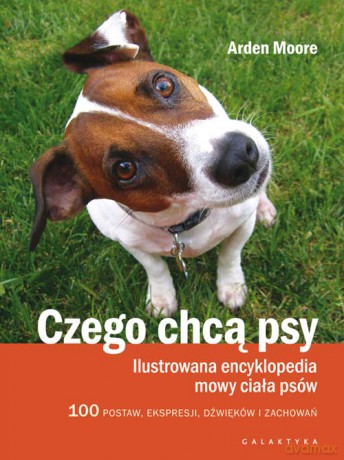 Czego chcą psy. Ilustrowana encyklopedia mowy ciała psów. 100 pozycji wyrazów pyska dźwięków i zachowań - Arden Moore [KSIĄŻKA]