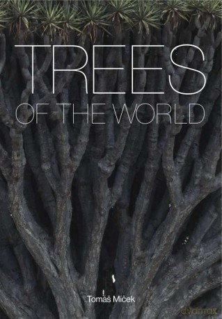 Trees of the world [KSIĄŻKA]