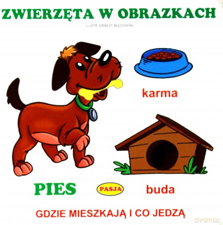 Zwierzęta w obrazkach - Ernest Błędowski [KSIĄŻKA]
