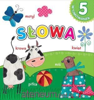 5 wyjmowanek. Słowa [KSIĄŻKA]