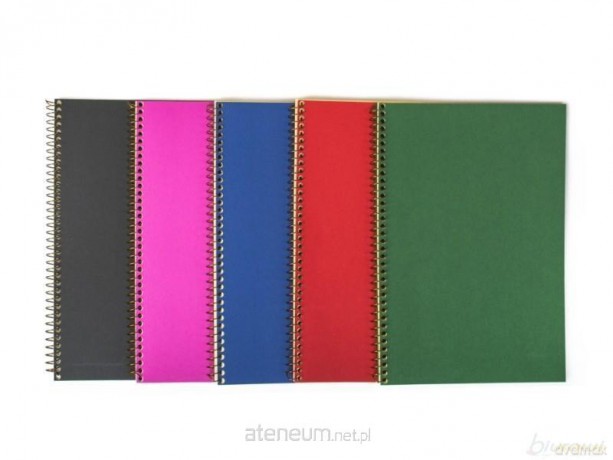 Brulion na spirali A4/70K kratka Rainbow (5 szt)