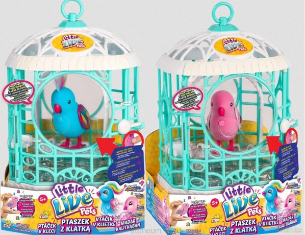Little Live Pets. Ptaszek z klatką