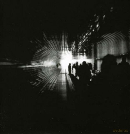 The Vanishing: Still Limes Are Fall. [CD]
