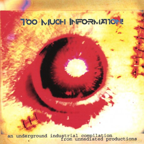 Various Artist: Too Much Information [CD]