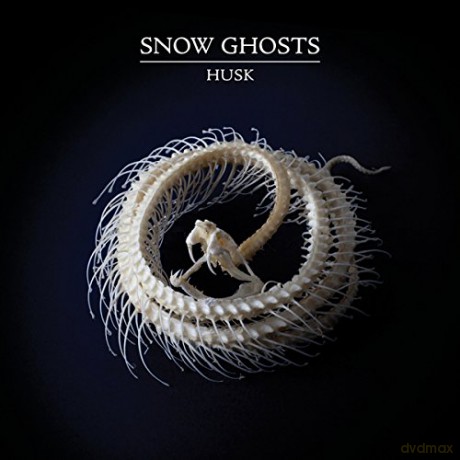 Snow Ghosts: Husk [Winyl]