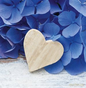 Love Cards Bliss (Together) [CD]