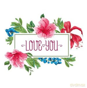 Love Cards Bliss (Feelings) [CD]