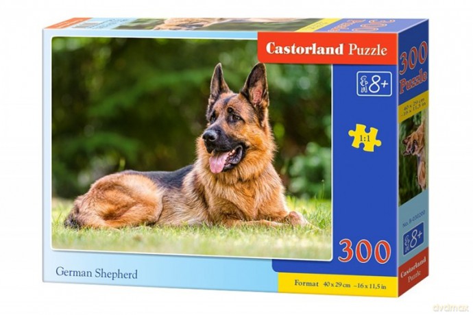 CASTOR 300 el. Owczarek niemiecki [PUZZLE]