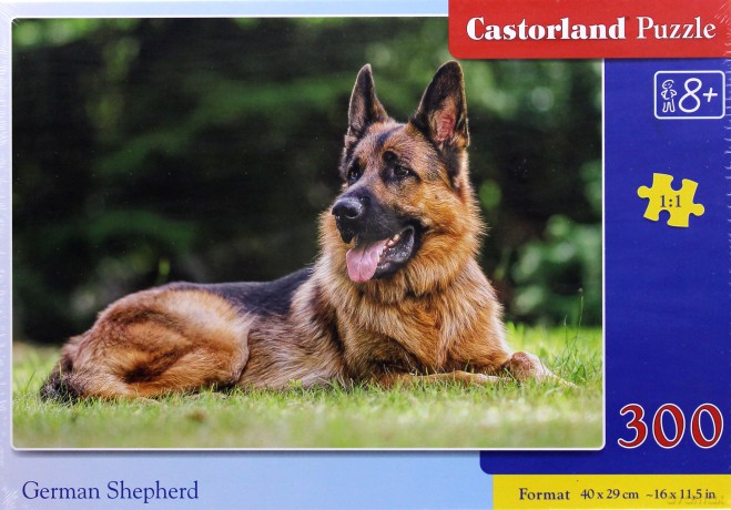 CASTOR 300 el. Owczarek niemiecki [PUZZLE]