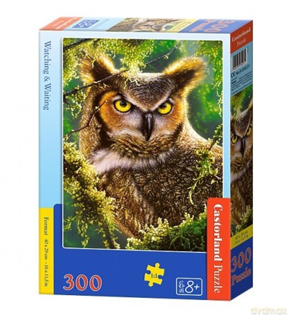 CASTOR 300 el. Sowa [PUZZLE]