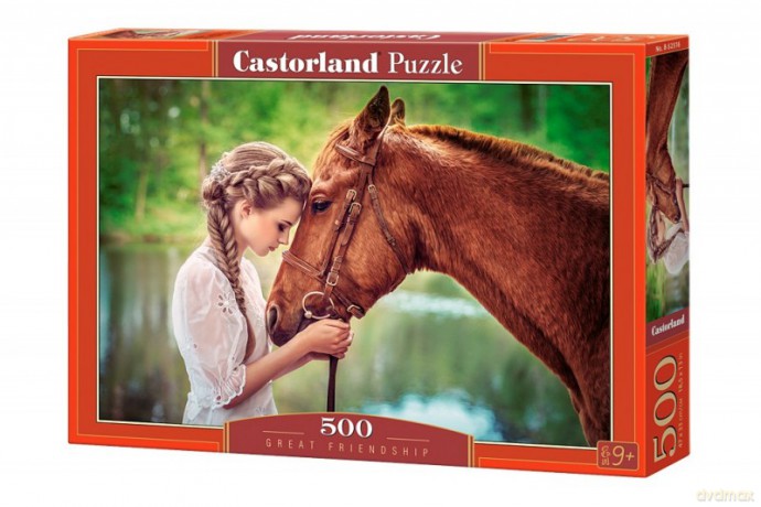 CASTOR 500 el. Dziewczyna z koniem [PUZZLE]
