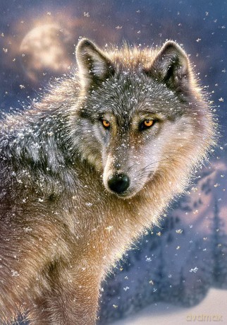 CASTOR 500 el. Samotny wilk [PUZZLE]