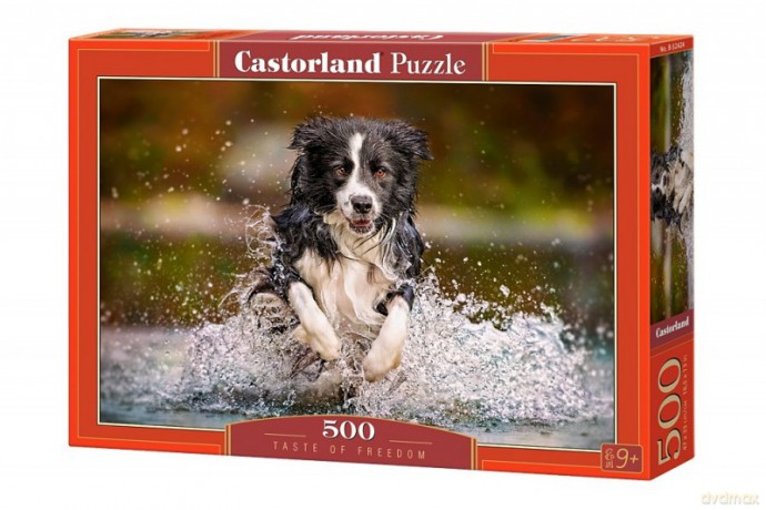 CASTOR 500 el. Smak wolności [PUZZLE]