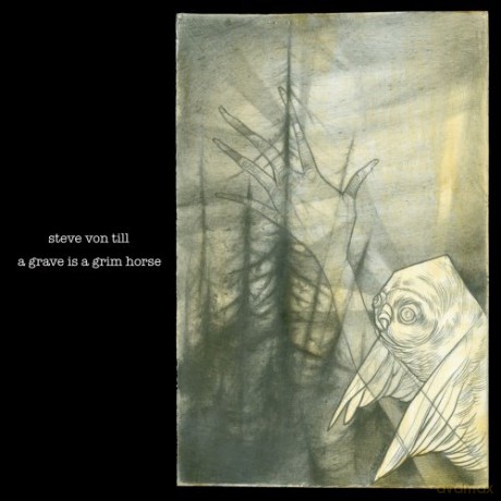 Von Till Steve: A Grave Is A Grim Horse [CD]