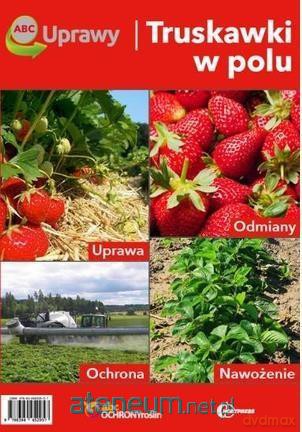 ABC uprawy. Truskawki w polu [KSIĄŻKA]