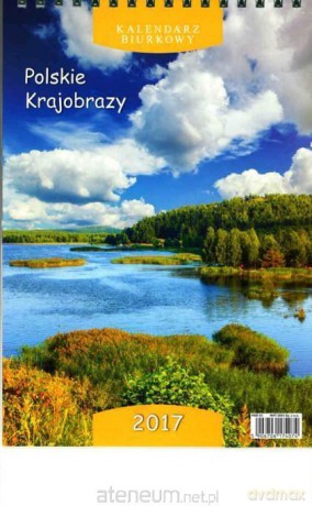 Kalendarz biurkowy mały 2017 - Polskie [KALENDARZ]