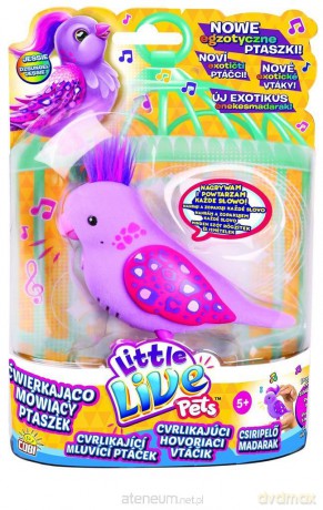 Little Live Pets. Ptaszki zestaw podstawowy różne rodzaje