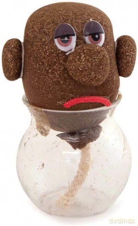 Pan Trawiastogłowy