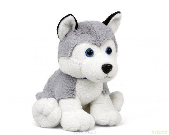 Piesek 25 cm Husky