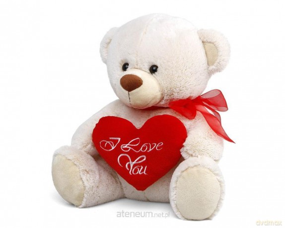 Pluszak Teddy 25 cm