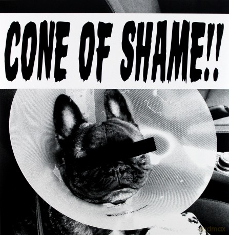 Faith No More: Cone Of Shame (Red) EP [Winyl]