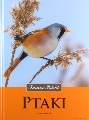 Ptaki fauna Polski - Dorota Zawadzka [KSIĄŻKA]