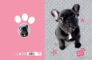 Teczka A4 studio pets
