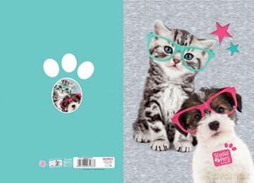 Teczka A4 studio pets